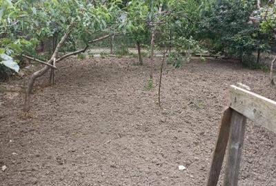 Casă individuală cu 5 camere cu Teren 400 Mp în Ultracentral - 4