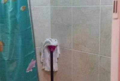 Garsonieră în Girocului