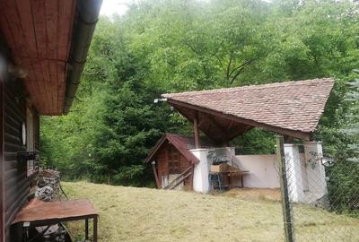 Casă cu Teren 740 Mp în Râu Sadului