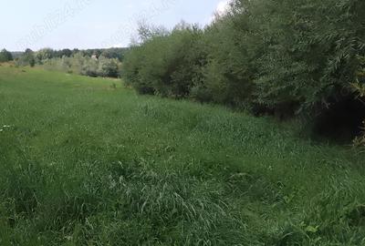 Teren de 4400 mp, în Mitocu Dragomirnei - 1
