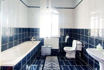 Casă individuală cu 7 camere cu Canalizare în Băile Felix - 8