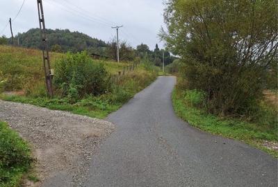Spațiu comercial, în Valea Neagră
