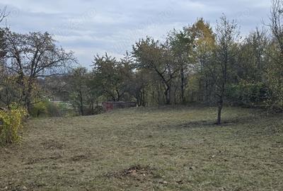 Teren de 1000 mp, în Călugareni - 3
