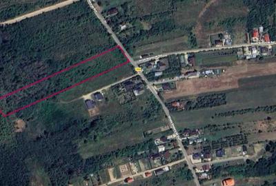 Teren de 6500 mp, în Smeura - 2