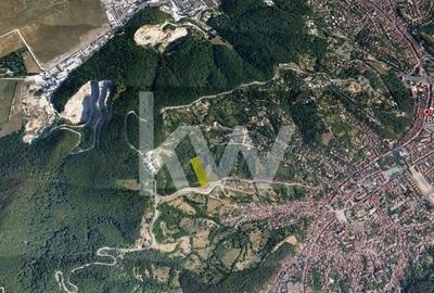 Teren Construcții intravilan de 9102 mp, în Drumul Poienii - 10