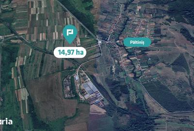 Teren de 151874 mp, în Păltiniș