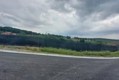 Teren de 1530 mp, în Erghevița - 2