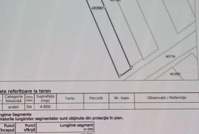 Teren de 175000 mp, în Remetea Mare - 3