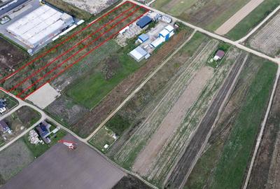 Teren intravilan de 5755 mp, în Oșorhei - 3
