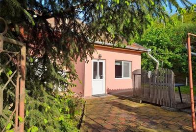 Casă cu 2 camere cu Teren 150 Mp în Luduș - 2