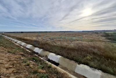 Teren Construcții intravilan de 1274 mp, în Vest
