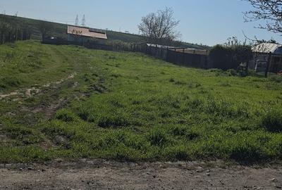 Teren de 1000 mp, în Central