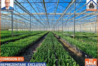 Teren de 42000 mp, în Lehliu-Gară - 3