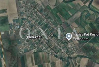 Teren Construcții intravilan de 6400 mp, în Pădureni (Jebel) - 2