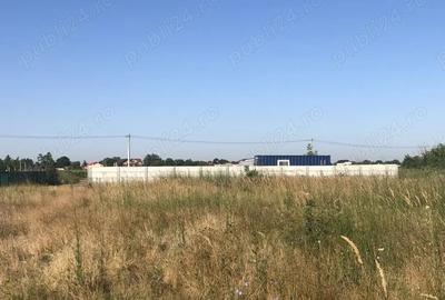 Teren de 600 mp, în Domnești