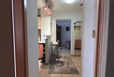 Apartament cu 2 camere decomandat în Șagului - 12