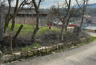 Teren de 1000 mp, în Hăulișca
