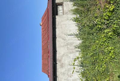 Casă cu Teren 675 Mp în Țuțulești