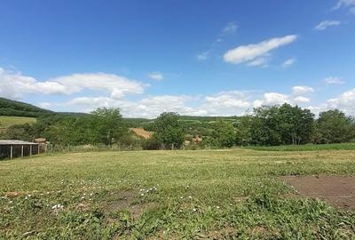 Teren de 1800 mp, în Bădeni