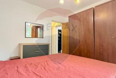 Apartament cu 2 camere semidecomandat, mobilat în Drumul Taberei - 11