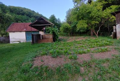 Casă individuală cu 4 camere cu Teren 8700 Mp în Băița - 8