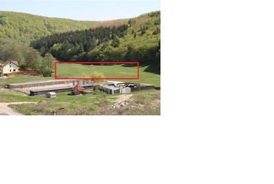 Teren în Făget - 1