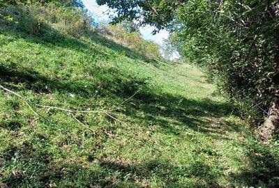 Teren de 3000 mp, în Măguri