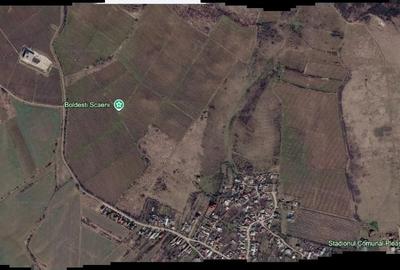 Teren agricol extravilan de 165000 mp, în Est - 2