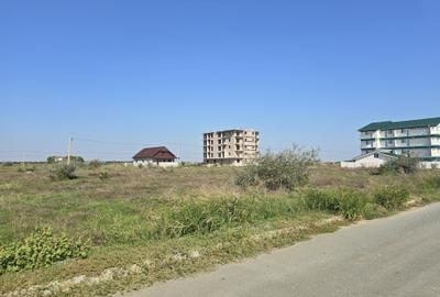 Teren Construcții intravilan de 1000 mp, în Costinești - 6