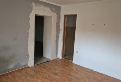 Casă individuală cu 4 camere cu Teren 1993 Mp în Cheresig - 2