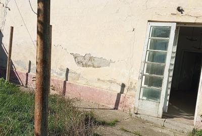 Casă cu Teren 1079 Mp în Dudeștii Vechi - 2