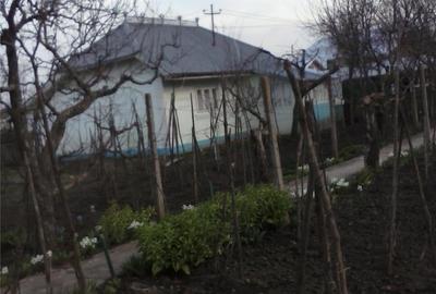 Casă în Central