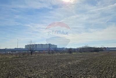 Teren Construcții intravilan de 8412 mp, în Albert - 11