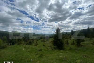 Teren de 5000 mp, în Central
