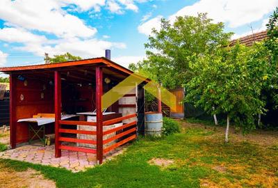 Casă individuală cu 3 camere cu Teren 905 Mp în Sânnicolau Mic - 23