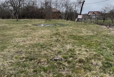 Teren de 3000 mp, în Cetățeni - 4