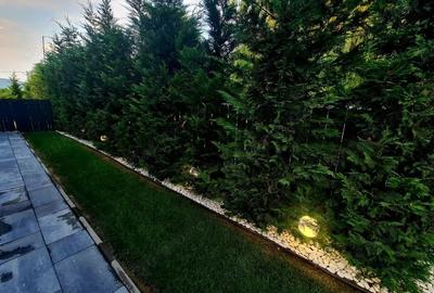 Casă cu Teren 350 Mp în Bujoreni - 4