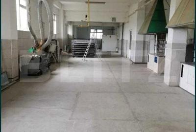 Spațiu comercial, de 600 mp, în Filipeștii de Târg - 10