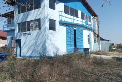 Teren de 2500 mp, în Tismana - 8