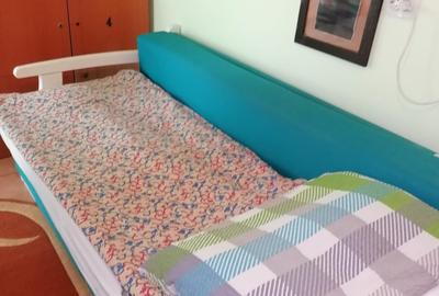 Apartament nedecomandat în Lotrioara - 4