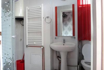 Garsonieră semidecomandată în Brâncoveanu - 9