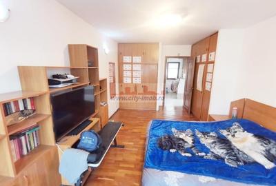 Apartament cu 3 camere decomandat în Banu Manta - 10