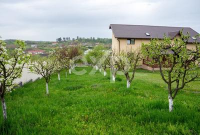 Casă individuală cu 4 camere cu Canalizare în Cehu Silvaniei - 8