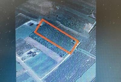 Teren de 8500 mp, în Central - 1