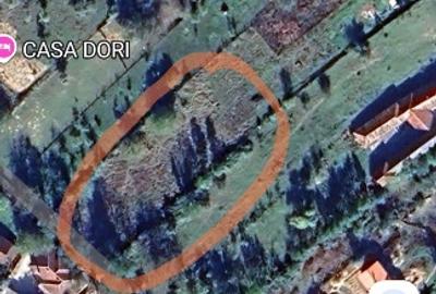 Teren Construcții intravilan de 1900 mp, în Cărpinet - 3
