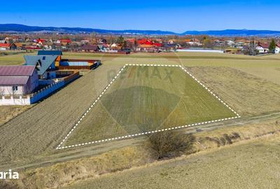 Teren de 3700 mp, în Prejmer - 9