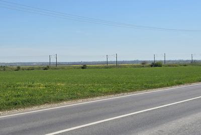 Teren extravilan de 2 mp, în Tișița - 8