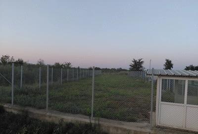 Teren de 1000 mp, în Giroc