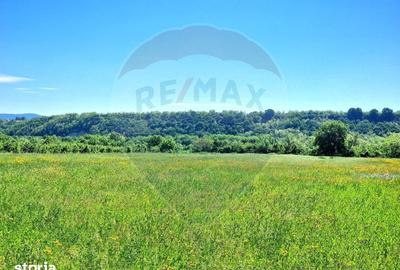 Teren de 8500 mp, în Cașin - 2