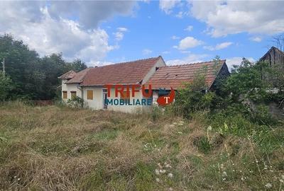 Casă cu 4 camere în Drâmbar - 2